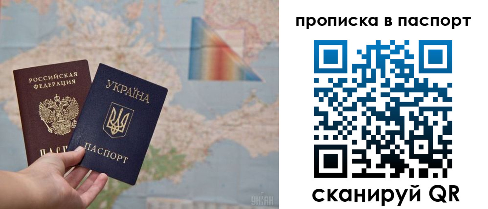 прописка поиск в Сельцо